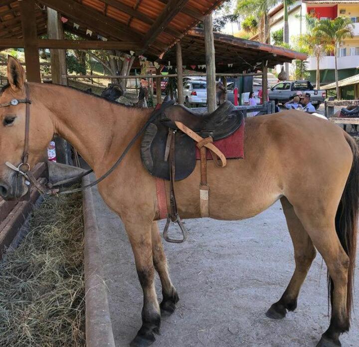 Farm stay Fazenda Tucano Capim Branco