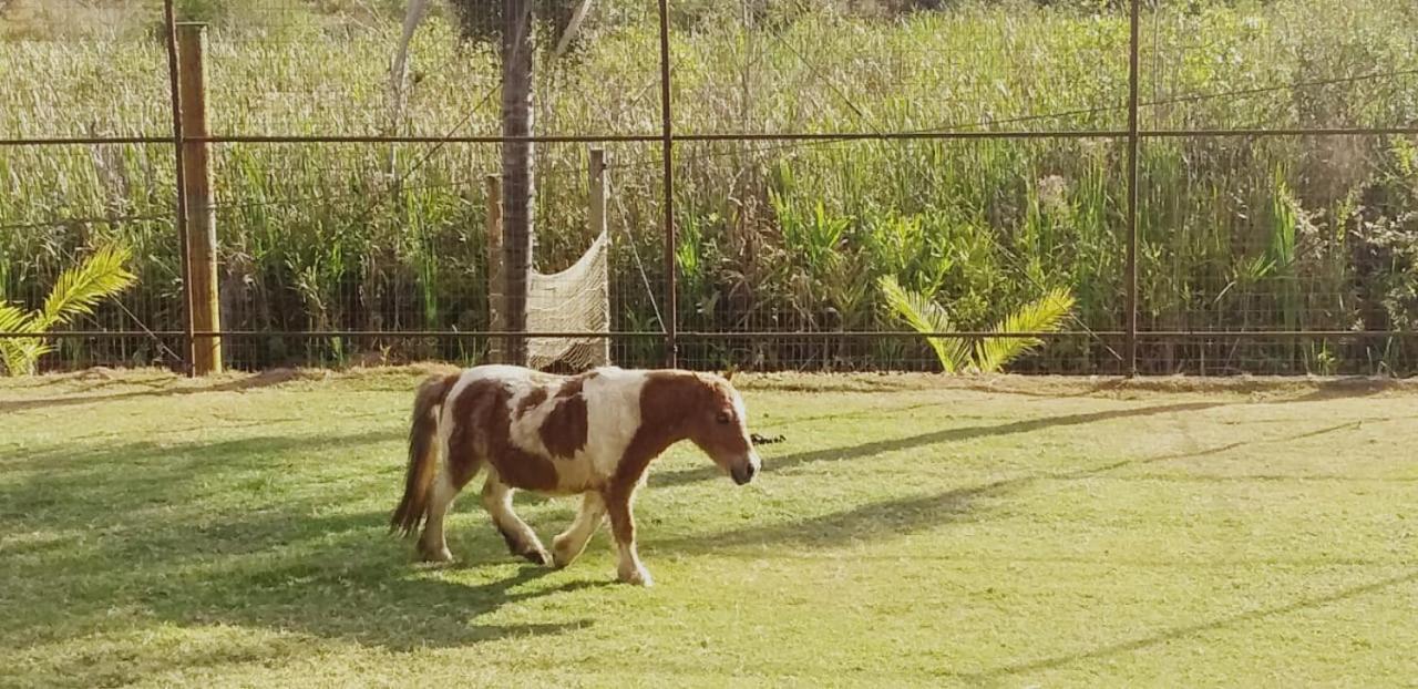 Farm stay Fazenda Tucano
