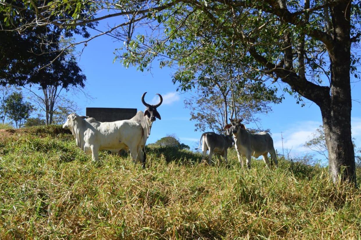 Fazenda Tucano